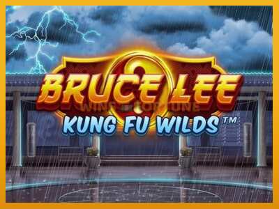 Bruce Lee Kung Fu Wilds máquina de xogos por diñeiro