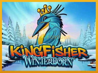 Kingfisher Winterborn máquina de xogos por diñeiro