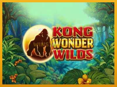 Kong Wonder Wilds máquina de xogos por diñeiro