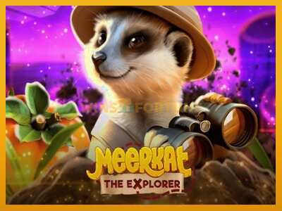 Meerkat máquina de xogos por diñeiro