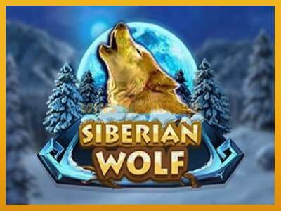 Siberian Wolf máquina de xogos por diñeiro