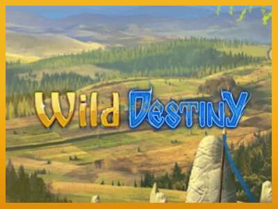 Wild Destiny máquina de xogos por diñeiro